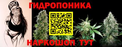 кокаин Шелехов