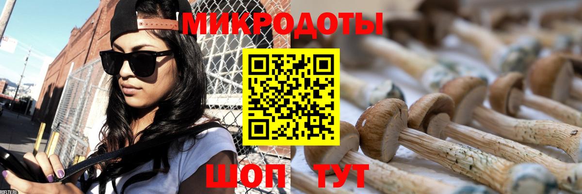 Владимир  Псилоцибиновые грибы мицелий  Вход с VPN 